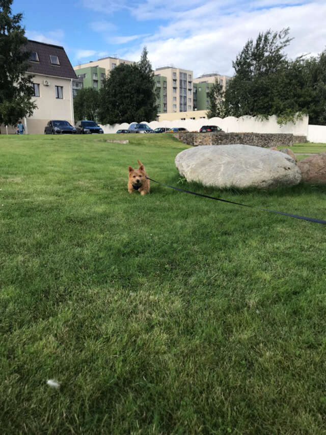 Гостиница Онежский замок Петрозаводск-38